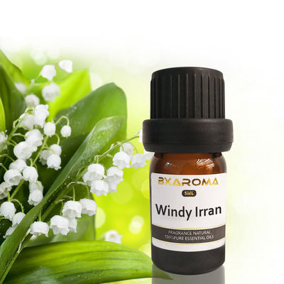 Mua Tinh dầu khuếch tán hương thơm Ilan Hương thơm làm mát không khí ô tô bền vững 500ml online manufacture